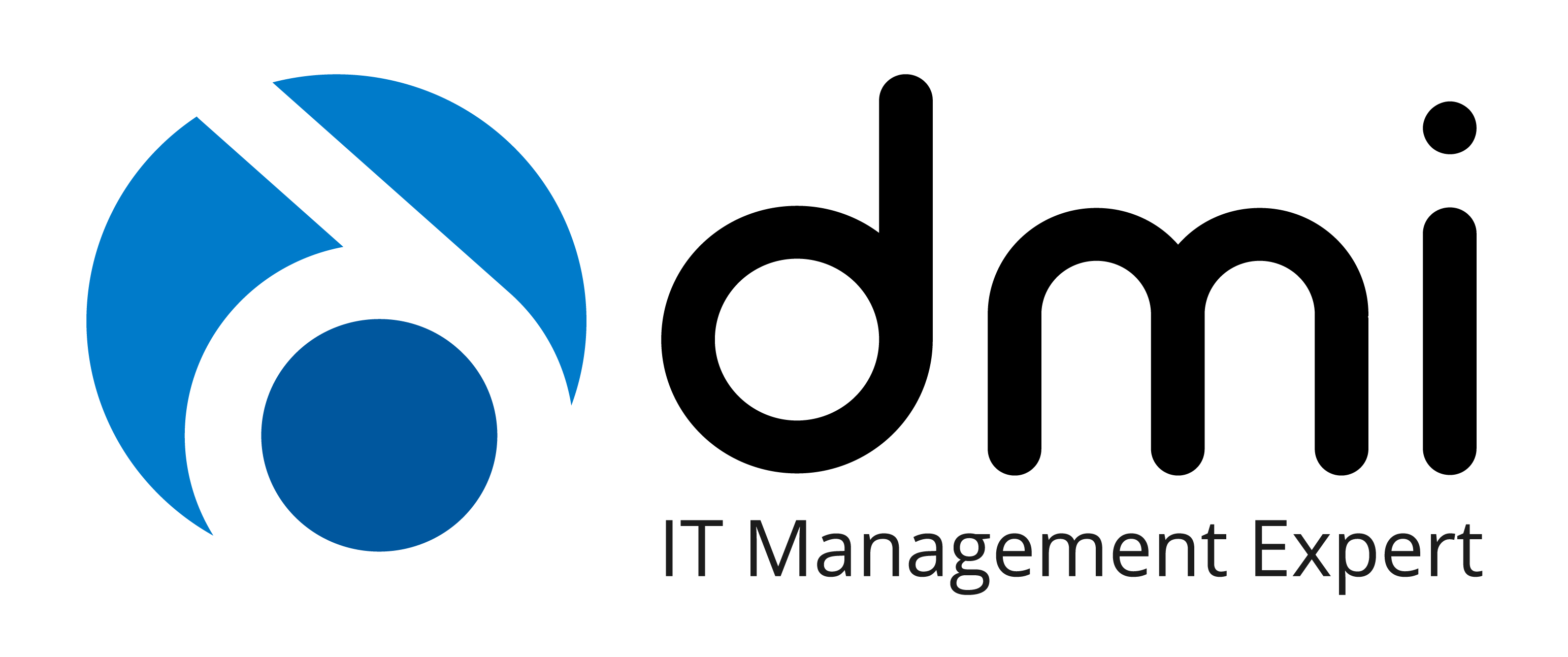 DMI – IT Management Expert